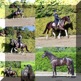 IMG_5638.jpg (545260 bytes)