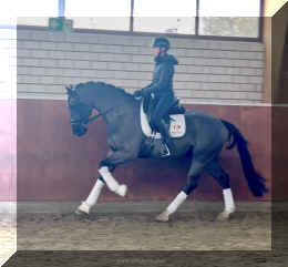 Simply Black HW canter new2.jpeg (455002 bytes)