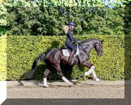 Simply Black HW canter5.jpeg (779222 bytes)