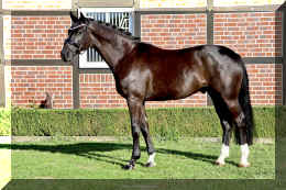 Simply Black HW stand4.jpeg (6285709 bytes)