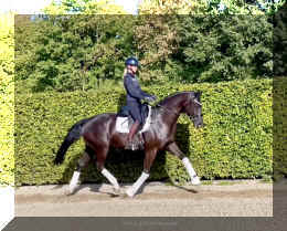 Simply Black HW trot3.jpeg (631271 bytes)