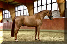 Supertramp HW stand2.jpeg (3457977 bytes)