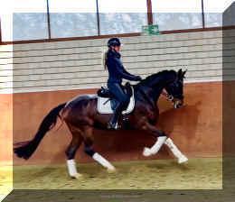 Vivat Rose HW canter2.jpeg (282209 bytes)