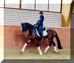 Vivat Rose HW trot7.jpeg (230101 bytes)