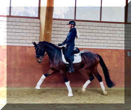 Vivat Rose HW trot8.jpeg (276436 bytes)