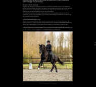 Eleven HW Flanders Horse Expo _2.jpeg (487502 bytes)