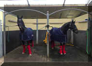 Pic19461.jpg (678016 bytes)