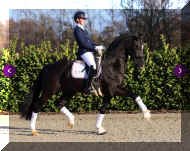 trot1.jpg (438951 bytes)